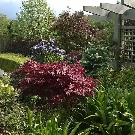 Dunbur Alojamento de Acomodação e Pequeno-almoço Wicklow