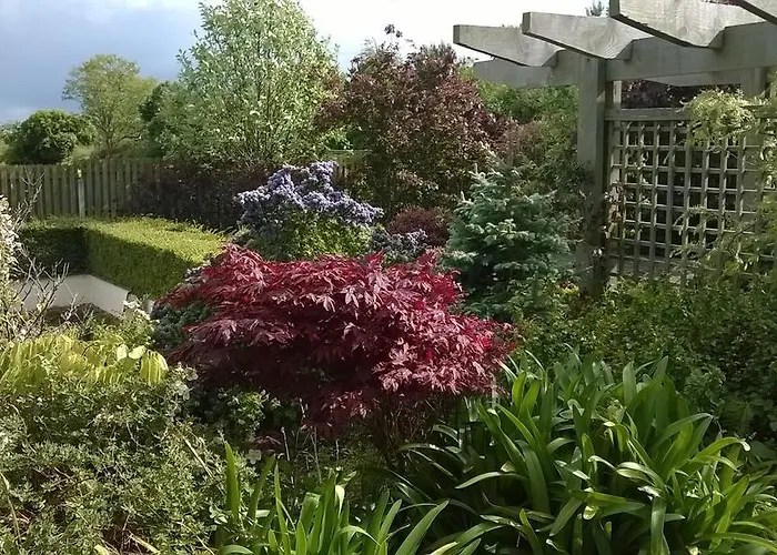 Dunbur Bed & Breakfast Wicklow